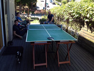 17 snazzy diy ping