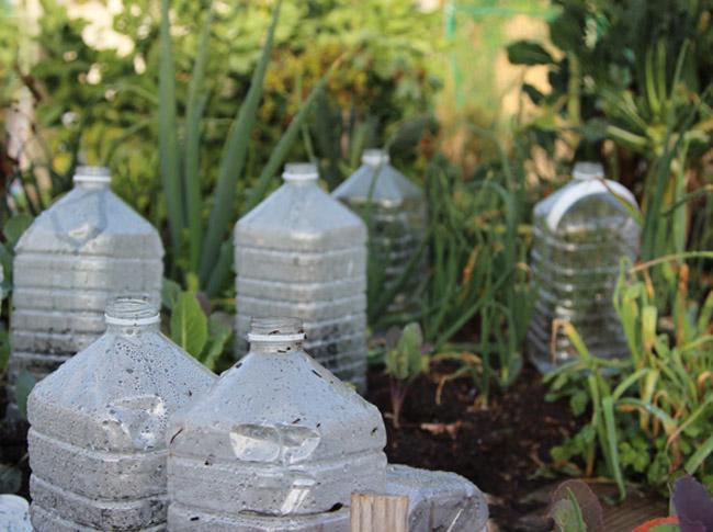 Upcycled Bottle Greenhouse