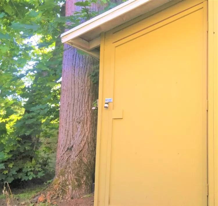 8 x 4 feet Yellow Shed
