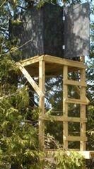 Double Layer Deer Blind
