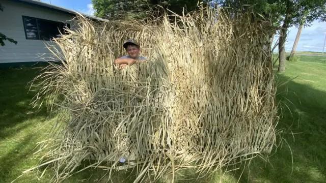 Inexpensive A-Frame Duck Blind