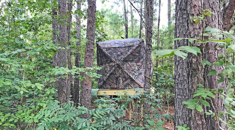 Repurposed Deer Blinds