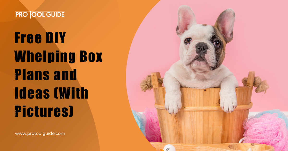 7 Free DIY Whelping Box Plans And Ideas (With Pictures)