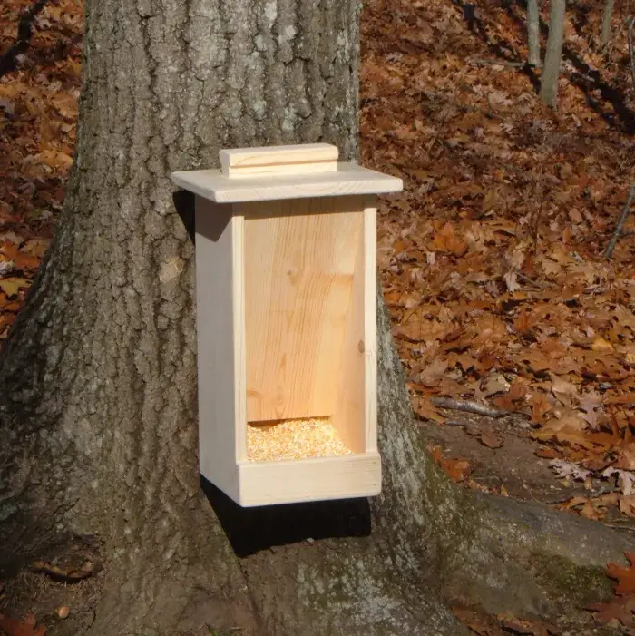 Deer Box Feeder