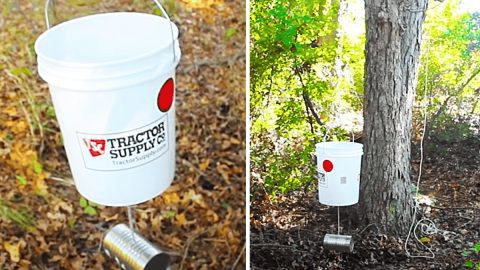 Hanging Bucket Feeder