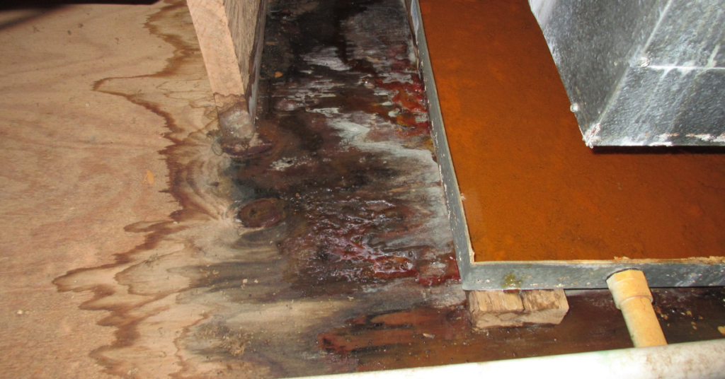 Signs of Water-Damage