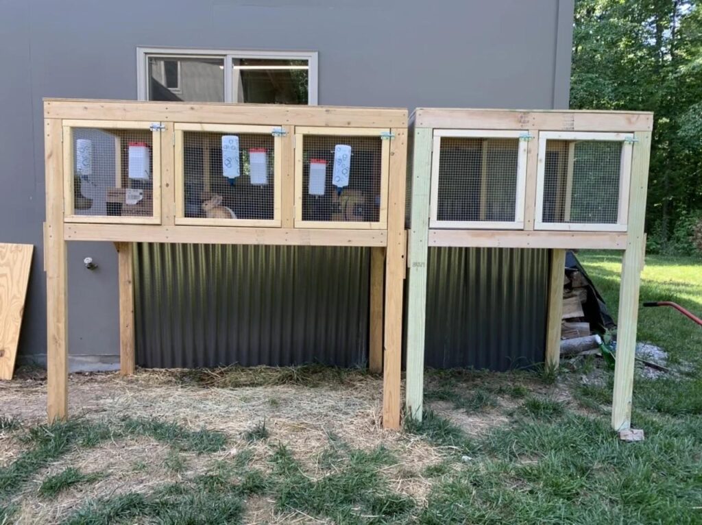 Rabbit Hutch With Multiple Sections