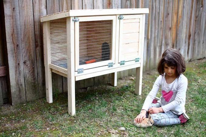Simple Double Chamber Rabbit Hutch