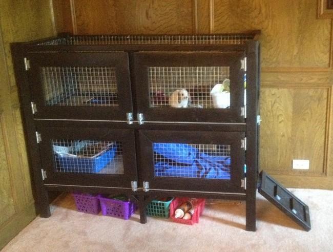 Two-story Rabbit Hutch With Removable Wire Flooring